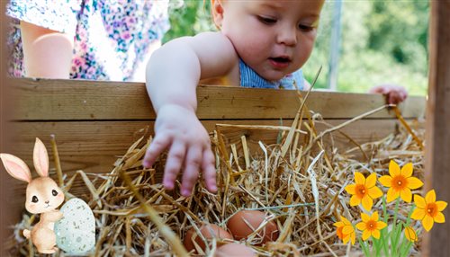 Smallicombe Farm Self-Catering