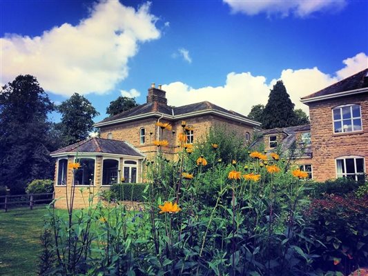 house with flowers