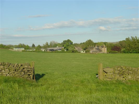 The large meadow in front of the Caravans at Shaw Farm