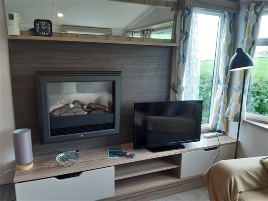 Caravan 4 stylish electric fire in Lounge