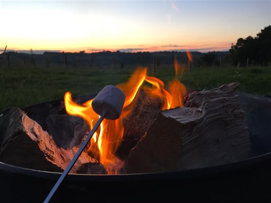 Toasting marshmallows a real treat over the firepit