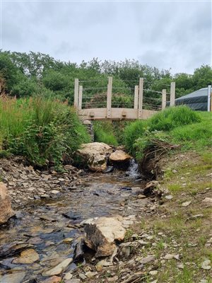 Our lovely bridge was made here on the farm, using locally sourced oak