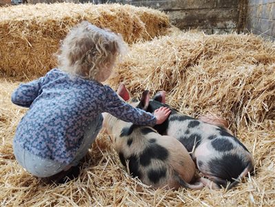 Westland Farm