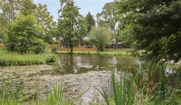 outside pond