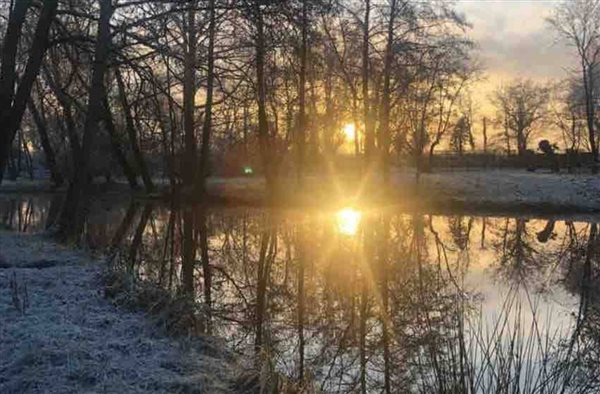 POND SUNSET