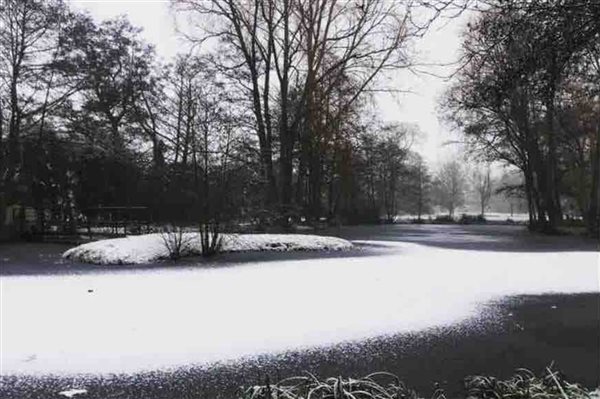 snow garden