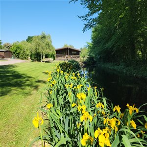 Willowbank Lodges