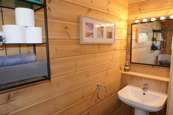 Dragonfly bathroom