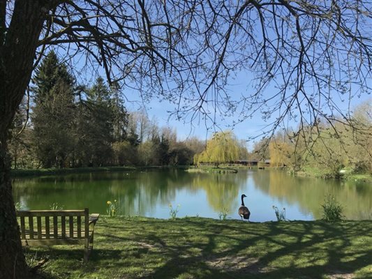 Main lake