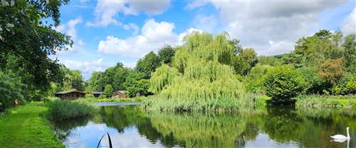 Willowbank Lodges