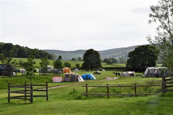 Our spacious camping field