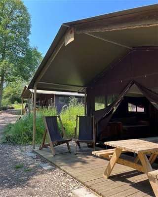 safari tent