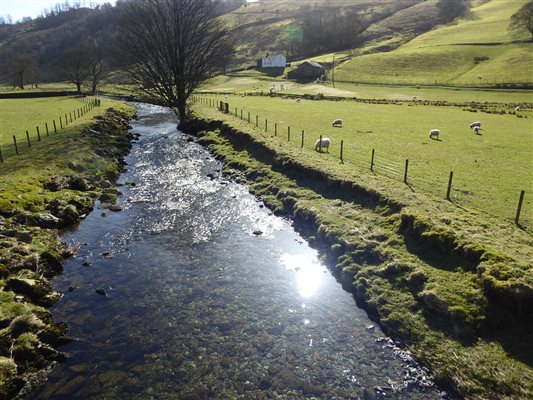 river near cottage