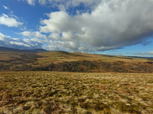 Cheviot Hills on the doorstep