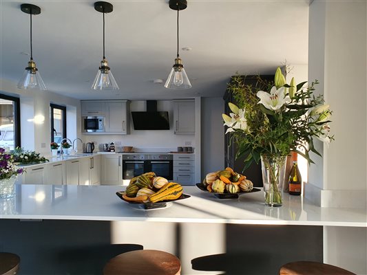 Kitchen and Island unit