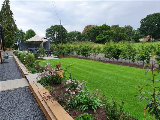 Patio Garden