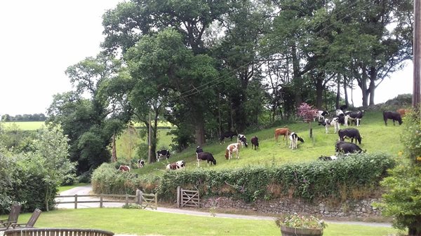 farm stay uk