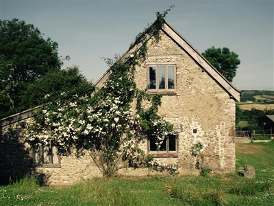 Dorset Escape