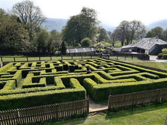 The maze at Glynn Barton Cottages