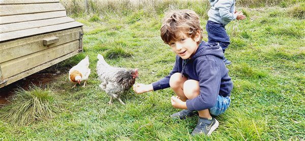 Farm Stays in Cornwall