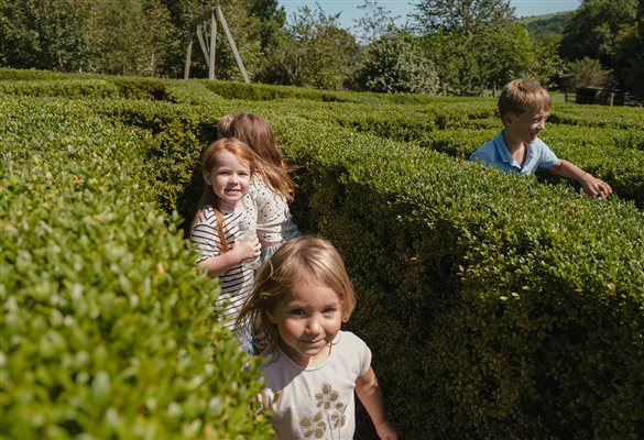 Running the Maze at Glynn Barton Cottages