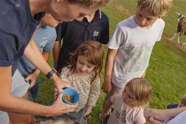 Animal Feeding at Glynn Barton