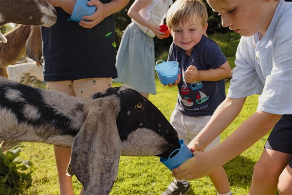 Animal Feeding at Glynn Barton Cottages
