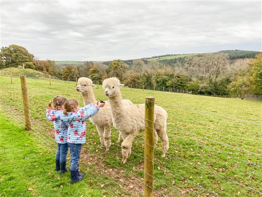 Farm holidays in Cornwall