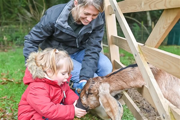 Animal Feeding