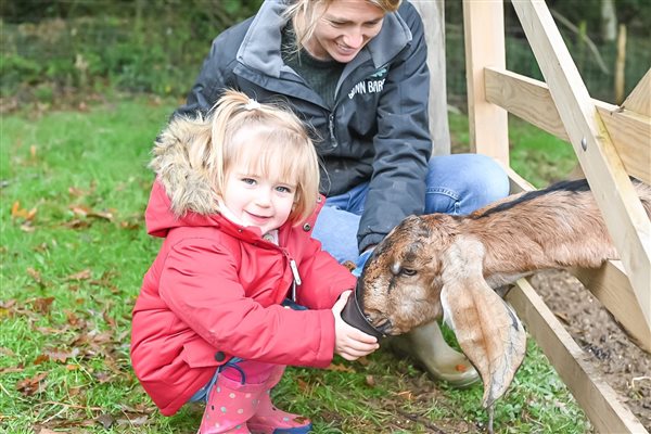 Feeding the animals at Glynn Barton Cottages