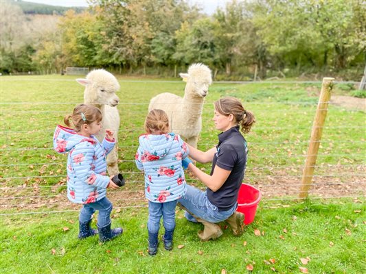 Animal Feeding at Glynn Barton Cottages