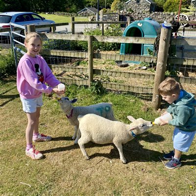 bottle feeding the lambs at Snowdonia Holidays Tyddyn du farm Eryri North Wales, dog friendly accommodation in luxury self catering cottages with mountain views in North Wales Uk