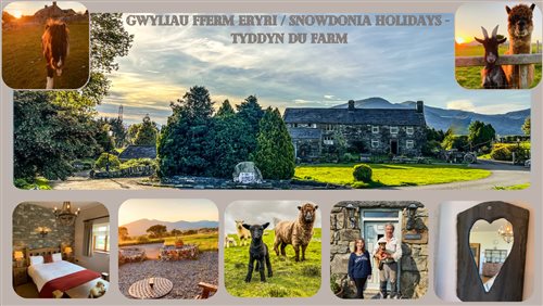Snowdonia Holidays Tyddyn du Farm