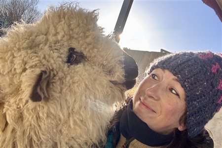 Snowdonia Holidays ~ Tyddyn du Farm