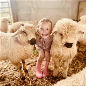 Snowdonia Holidays ~ Tyddyn du Farm