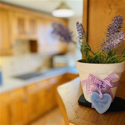 country kitchen with eryri snowdonia views, accommodation in snowdonia eryri north wales, luxury suites with jacuzzi bath and log burner hotels in north wales