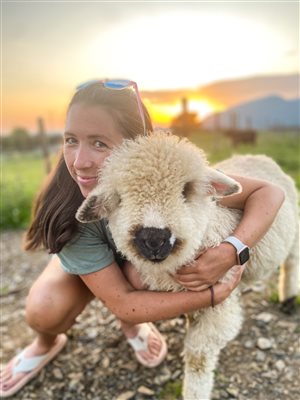 Cutest lamb ever at Snowdonia Holidays Tyddyn du farm. Dog friendly accommodation in Eryri North Wales, hotel near Snowdon Yr Wyddfa.