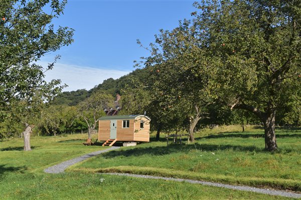 Bramley hut nestled in orchard
