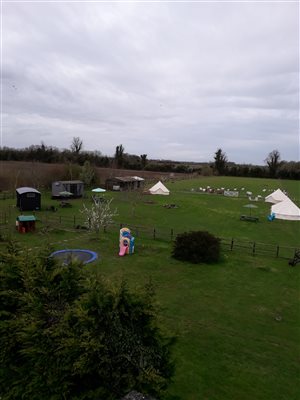 Site 2021