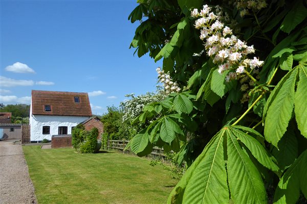 Lawned area in front the Barn