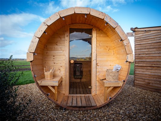 buzzard hut