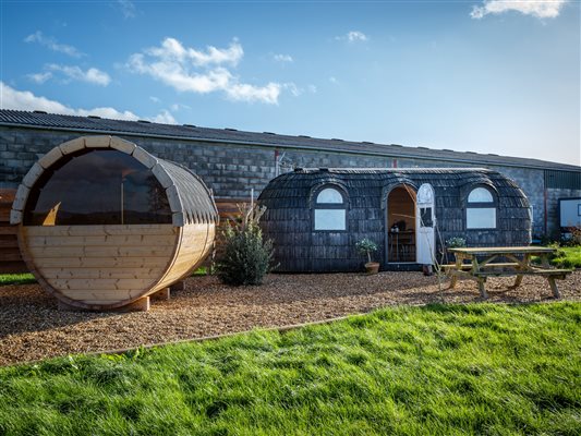 buzzard hideaway