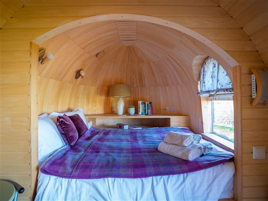 buzzard bedroom