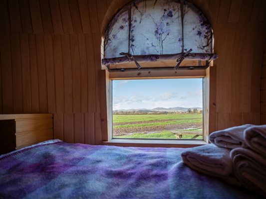 buzzard bedroom