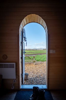 buzzard door