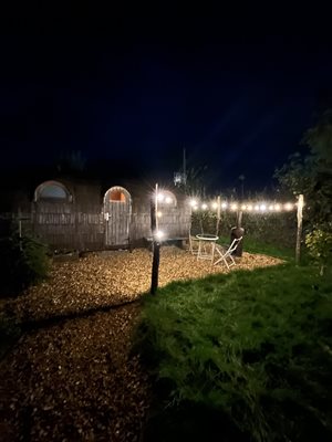 hare at night