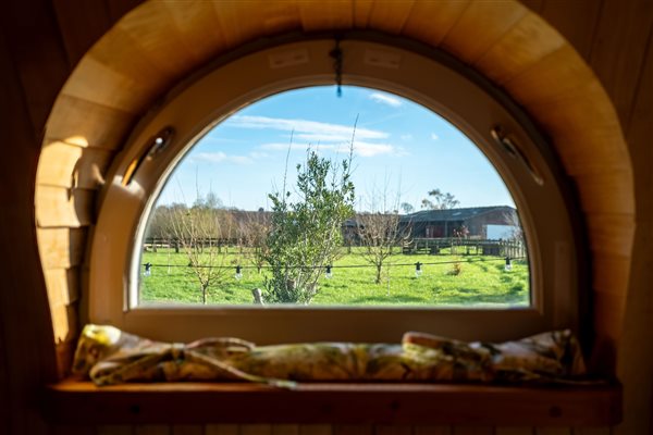 hare view