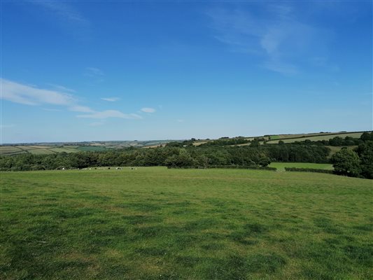 Views across the farm