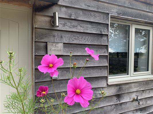 Gravel Farm Self-Catering Cottages, near Ely