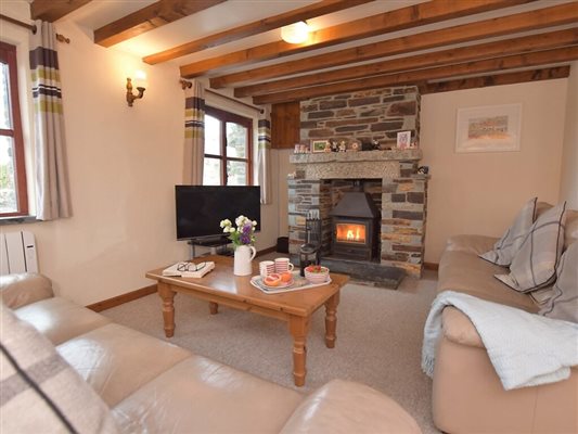 woodburner living room